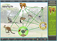 Food Webs